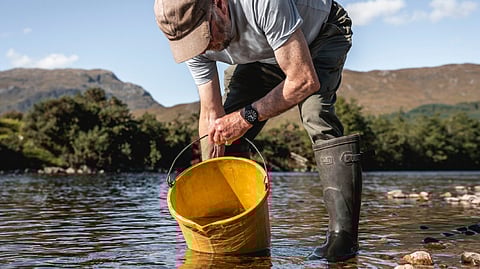 UK organisations complete study on wild salmon conservation