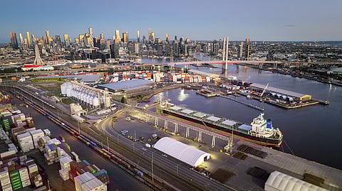 grains and oil seeds business