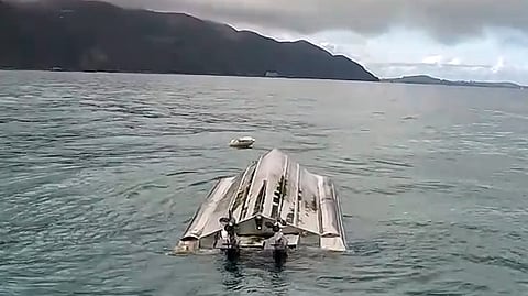 New Zealand transport investigators say deadly charter boat capsize likely caused by whale