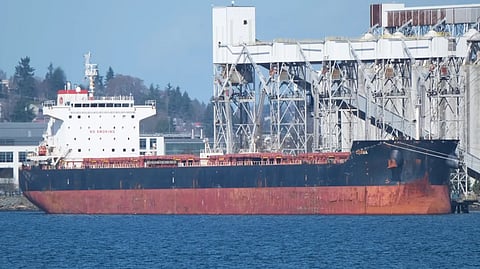 Bulk carrier, four entities sanctioned for transporting North Korean iron ore