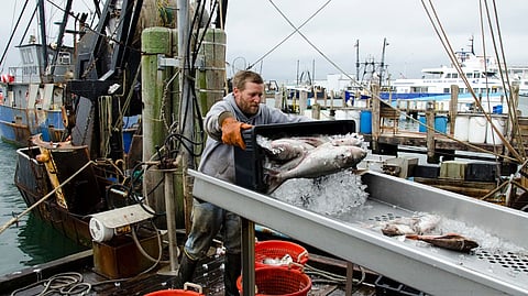US commercial fishing industry