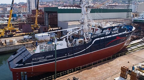 Amada Isabel undergoing shortening