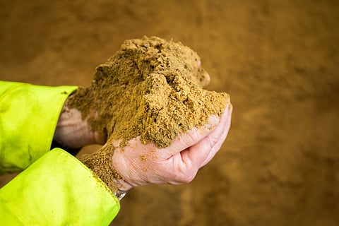 Fishmeal