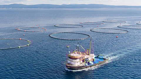 Thai Union fish farm fishing boat
