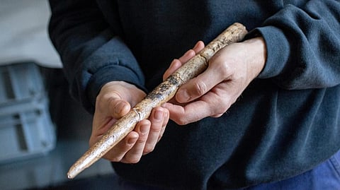 A large projectile point made of gray whale bone from the Duruthy rockshelter, dated between 18,000 and 17,500 years ago, is pictured in Landes, France, March 30, 2021