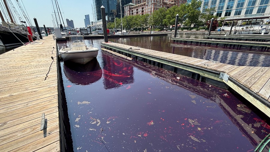 Oil spill in Baltimore marina