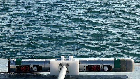 Barracuda