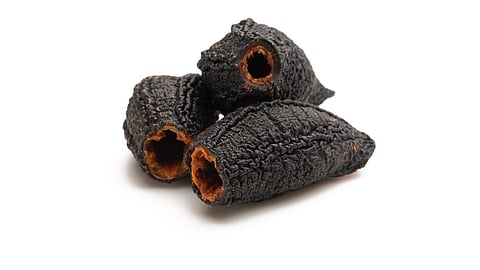 Sea cucumber