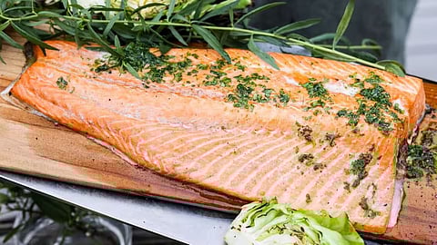Norwegian salmon