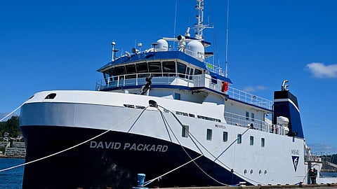 David Packard