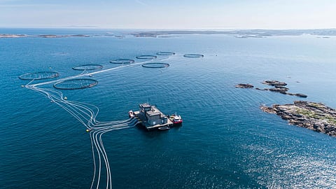 Leroy Seafood fish farm