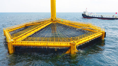 Shen Lan 1, a fish farm placed by China allegedly within South Korea's exclusive economic zone