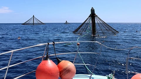 Offshore aquaculture area