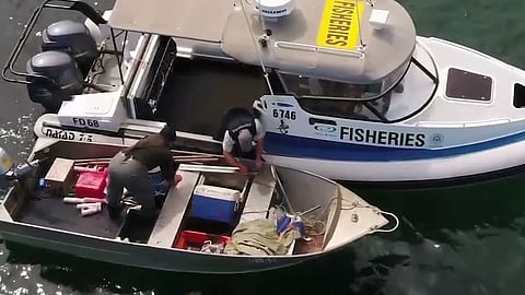 Fisheries enforcement operations