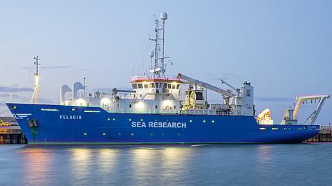 Pelagia NIOZ