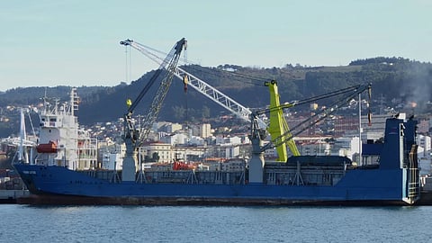 Elmes in 2014