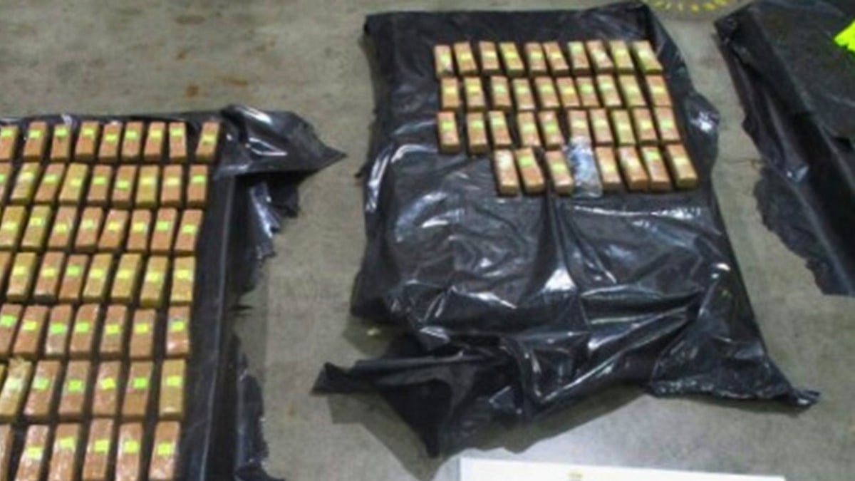 Australian authorities seize drugs from shipping container in Brisbane