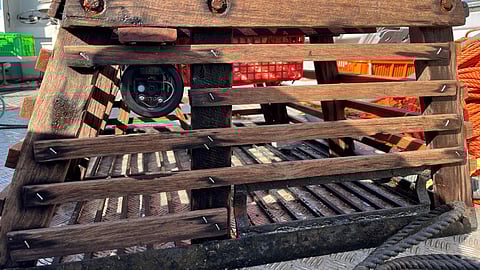 Lobster pot fitted with a camera