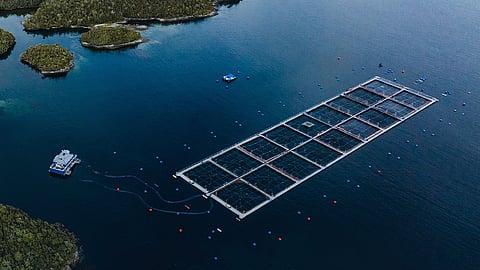 A Blumar salmon farm