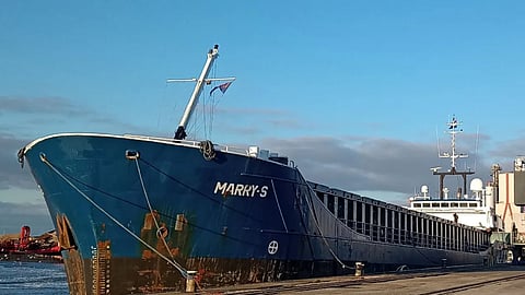 Marry S in Harlingen, Netherlands, December 24, 2025