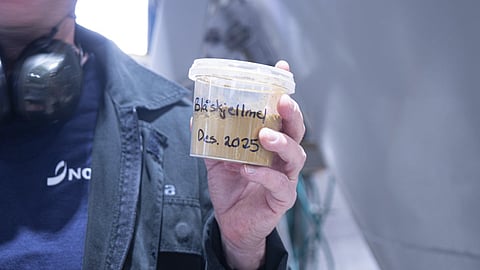 Powder produced from blue mussels