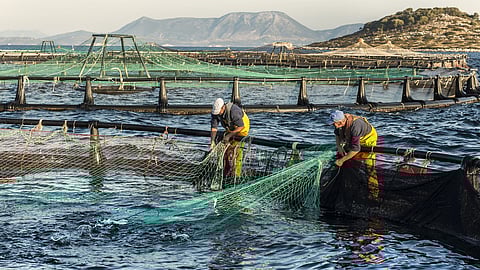 Avramar aquaculture pen