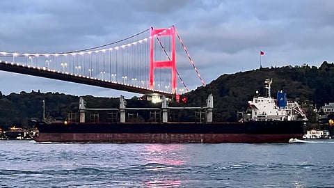 Panormitis, the bulk carrier carrying alleged "stolen" grain from Ukraine's occupied territories