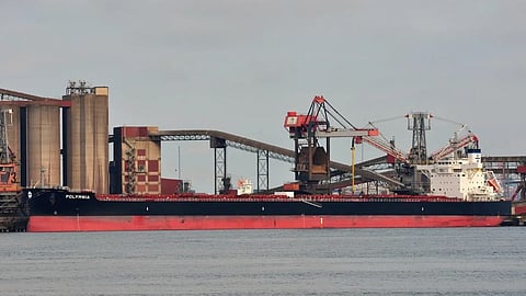 Polymnia