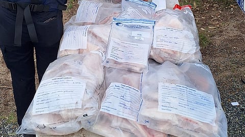 Evidence bags of more than 27 kg of finfish fillets