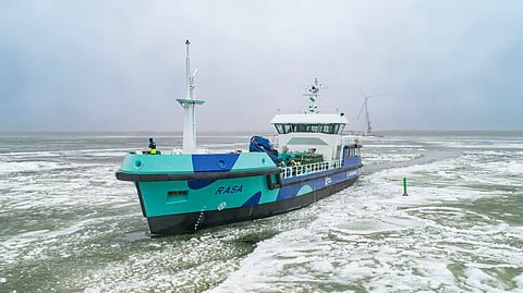Rasa