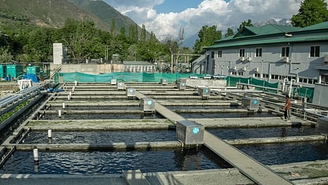 Khyber Aquaculture's facility in Kashmir