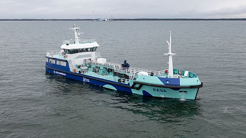 Rasa