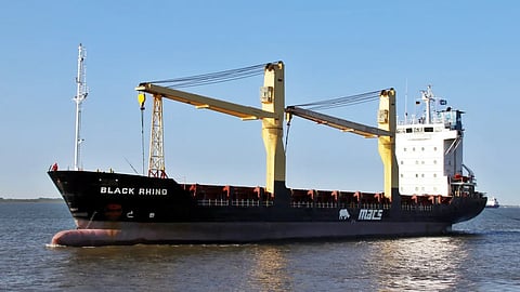 Black Rhino in 2018