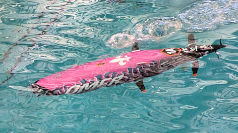 Team OMER's human-powered submarine during the 2026 European International Submarine Races held in Gosport, UK. Team OMER won the 2026 races, adding to their previous victories in 2012, 2014, 2018, and 2024.