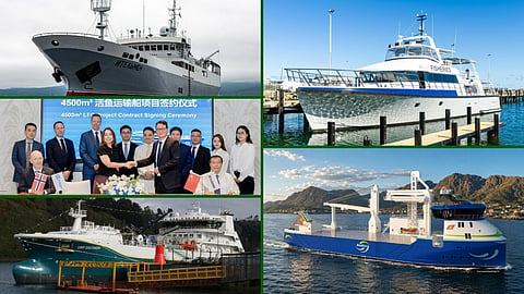Fishing Vessel News Roundup | September 2 – Russian crabber, Australian enforcement boat and more