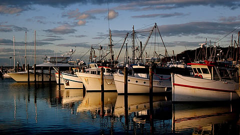Boats in Port Stephens, New South Wales