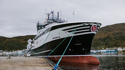 Havbryn