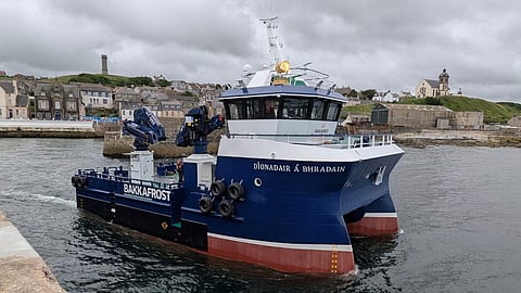 Dìonadair a’ Bhradain