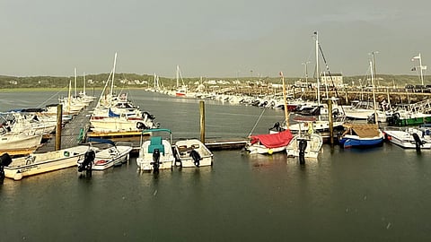 Boats in Wellfleet Marina