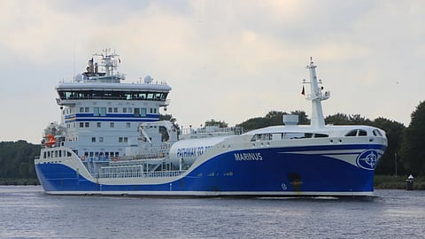 Marinus