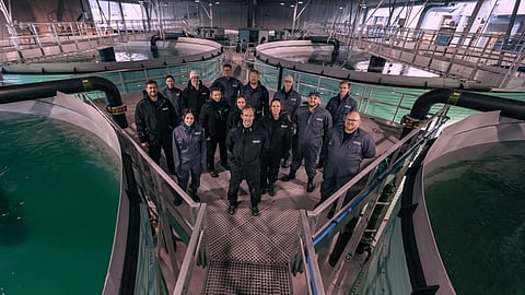 Arctic Seafarm's Nesna facility