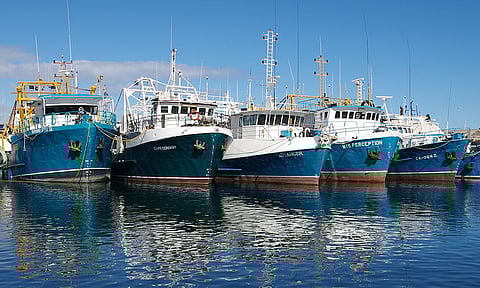 Photo: Gnangarra / Wikimedia