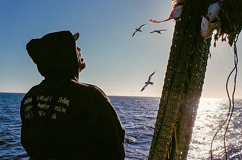 FIS launches new projects to boost Scottish seafood sector