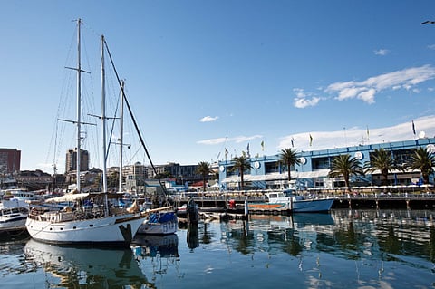 Photo: sydneyfishmarket.com.au