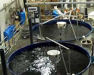  37143_350x280_72_dpi_0