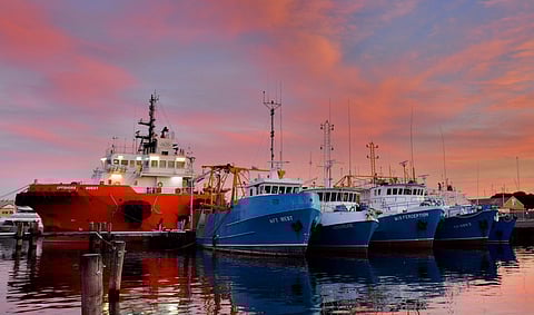 World fish stocks healthy and abundant, says study