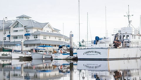 Photo: City of Petaluma