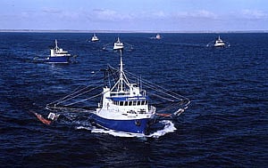 Australia: Adelaide shipbuilder granted eviction reprieve