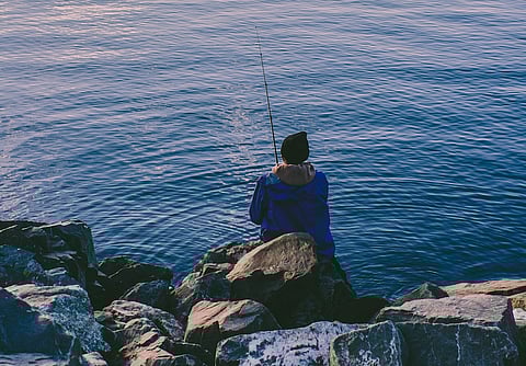  56e156ae7a9fb41309794613e883bfc0