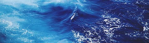  e10c37e1572613d99fd9802ee4c6a1e8